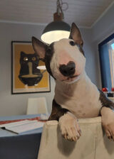 Zdjęcie użytkownika mike007754