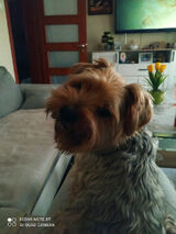 Фотография пользователя sylwesterpadla1973