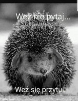 Fotos edekwojtasik551