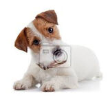 Zdjęcie użytkownika Wiktoriaa0008