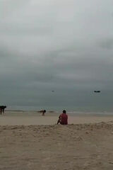 Zdjęcie użytkownika ferrinhugo18