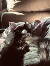 Fotka uživatele Malwson007