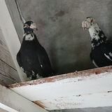 Zdjęcie użytkownika WaclawKu