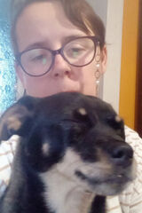 Фотография пользователя kszukalo