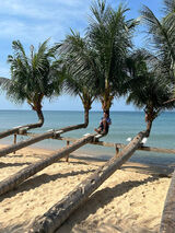 Фотография пользователя sc13245