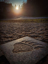 Foto utilizatorului jan232