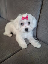 Фото користувача Convicted1410