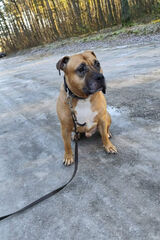 Photos mastertheplayer5