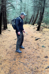 Foto utilizatorului Lukjaan