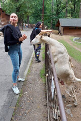 Photos NikiKrsOrlowiec