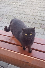 Фотография пользователя Barti40