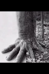 Fotka uživatele Alibaba44