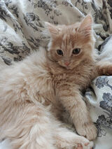 Zdjęcie użytkownika mi123480