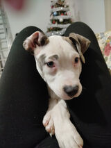 Фото користувача Guniaagunia