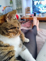 Fotka uživatele MichalTwarkowski