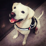 Фотография пользователя Piotrulaxxx