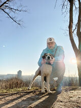 Fotka uživatele Pszczola023