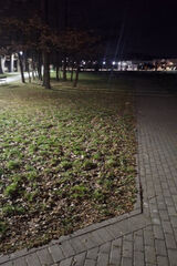 Photos ostrowskioskar983