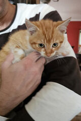 Zdjęcie użytkownika marcin5225