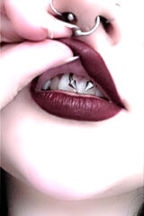 Benutzerfoto VenusAimee3