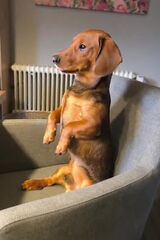 Foto utilizatorului rafal198101