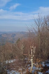 Zdjęcie użytkownika KochajToCoJa