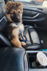 Zdjęcie użytkownika Gabrys96