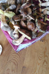 Fotka uživatele matinnn