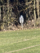 Foto pengguna precisionsensative