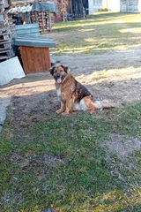 Zdjęcie użytkownika ates8