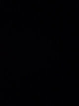 Zdjęcie użytkownika Sylwiasylwusia01