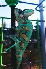 Zdjęcie użytkownikaMatios29