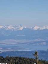 Foto utilizatorului AleksikOwski