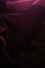 Фотография пользователя ktosf0945