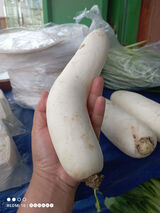 Zdjęcie użytkownika ukkyitaharahap