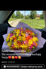 Фото користувача monia1981281