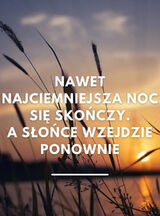 Zdjęcie użytkownika Alealealeksandrq