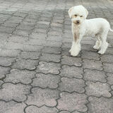 Fotka uživatele AnitaPrzytula