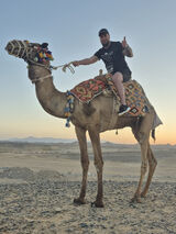 Zdjęcie użytkownika Bestbir