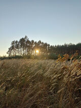 Foto pengguna Pawloskii