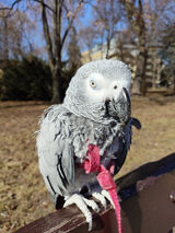 Фотография пользователя Krzysiek2103