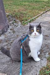 Fotka uživatele Szymon4123