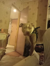 Foto utilizatorului sebastianmackiew57