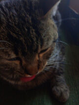 Photos marczewskigrzego23