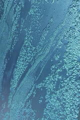 Foto utilizatorului Boy8888