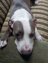 Zdjęcie użytkownika katarzynawyszogr39