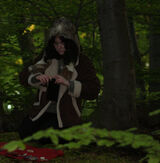 Fotos maciejmalinowski35