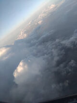 Фотография пользователя gazela3