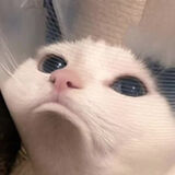 Фото користувача Dave111D