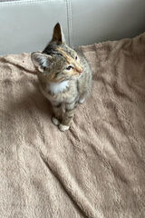 Фотография пользователя tomson678